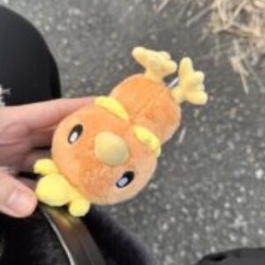 森本 あかりのプロフィール写真