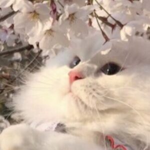 小松 享永のプロフィール写真