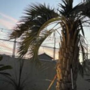 源戸美紀のプロフィール写真