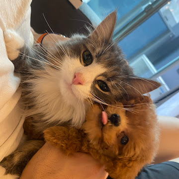 善元 久美子のプロフィール写真